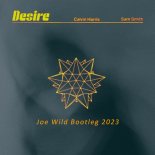 Calvin Harris x Sam Smith-Desire (Joe Wild Bootleg 2023)