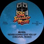 MuSol - Never Gonna Give You Up (Extended Mix)