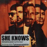 Dimitri Vegas & Like Mik, David Guetta Feat. Afro Bros with Akon - She Knows (Per Pleks Extended Remix)