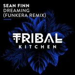 Sean Finn - Dreaming (Funkera Extended Remix)