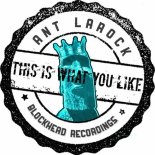 ANT LaROCK - This Is What You Like (Original Mix)