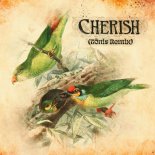 Bastion - Cherish (Tonis Remix)