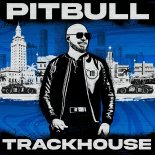 Pitbull feat. Vikina - Let's Take A Shot