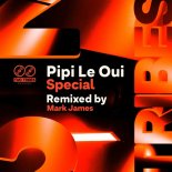 Pipi Le Oui - Special (Mark James Remix)