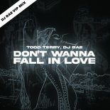 Todd Terry - Don't Wanna Fall In Love (DJ Rae VIP Mix)