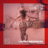 Lindsxy Mesenburg - Why Do I Try (Tom Hall Organ VIP Mix)