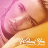 Daisey O'Donnell & Ivan Gough Feat. Reece - Without You