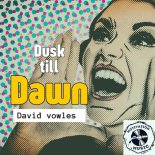 David Vowles - Dusk Till Dawn (Original Mix)