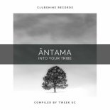 Atomise - Tribal Walk (Original Mix)