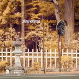 Shingo Nakamura - Golden Leaves (Extended Mix)
