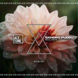 Sandro Puddu - Soul Mate (Original Mix)