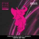 Vinicius Nape, Winnick, ALEC(br) - Gotta Get You (Original Mix)