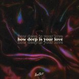 Leon & Halo Feat. Bella X - How Deep Is Your Love (VIP Mix)