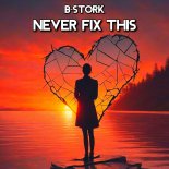 B-Stork - Never Fix It (Extended Mix)