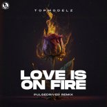 Topmodelz - Love Is On Fire (Pulsedriver Remix)