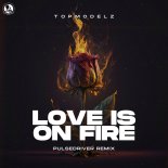 Topmodelz - Love Is On Fire (Pulsedriver Extended Remix)