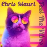 Chris Mauri - Feel The Vibes (Original Mix)