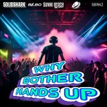 SolidShark - Why bother Hands Up (Radio Mix)