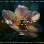 Steve Tosi - Jive Talkin' (Original Mix)