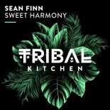 Sean Finn - Sweet Harmony (Extended Mix)