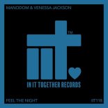 ManoDom, Venessa Jackson - Feel The Night (Extended Mix)