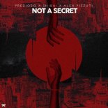 Prezioso & Shibui Feat. Alex Pizzuti - Not A Secret (Extended Mix)