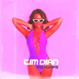Tim Dian - My Humps (DJ Brooklyn Edit)