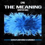 Dancefloor Kingz & Sunvibez - The Meaning (Winter Mix)