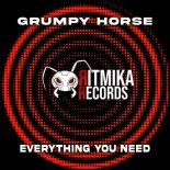 Grumpy Horse - Everything You Need (Original Mix)