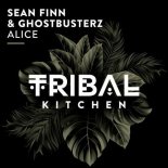 Sean Finn, Ghostbusterz - Alice (Extended Mix)