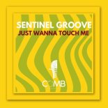 Sentinel Groove - Just Wanna Touch Me (Extended Mix)