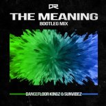Dancefloor Kingz & Sunvibez - The Meaning (Bootleg Edit)