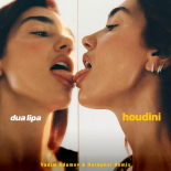Dua Lipa - Houdini (Vadim Adamov & Hardphol Remix)(Radio Edit)
