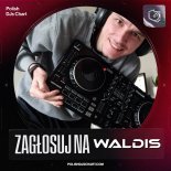 WŁODAR x BTRENTA CLASSIC - JINGLE BELLS ale to SIĘ WJEŻDŻA (Waldis Mix)