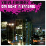 Vinylshakerz - One Night in Bangkok (Marcus Levin Re-Cut)