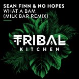 Sean Finn & No Hopes - What a Bam (Milk Bar Extended Remix)