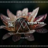 Steve Tosi - The Hot (Clubmix)