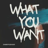 Damir Pushkar - WHAT YOU WANT (Original Mix)