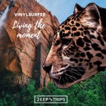 Vinylsurfer - Living The Moment (Extended Mix)
