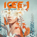 ICee1 - Can't Escape (Acid Mix)
