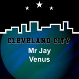 Mr Jay - Venus (Original Mix)