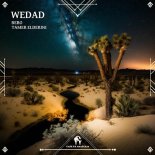 Bebo, Tamer ElDerini - Wedad (Original Mix)