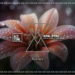 KNL (ITA) - Who Can It Be Now (Clubmix)