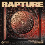 Sander Van Doorn & Robert Falcon - Rapture (BLR Remix) (Extended Mix)