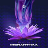 NYMPHAA - Micranthaa (Original Mix)