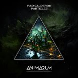 Pao Calderon - Particles (Original Mix)