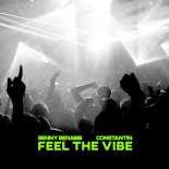 Benny Benassi & Constantin - Feel The Vibe (Extended Mix)