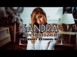 Sandra - Spełniasz sny (PumpCrazy Extended Remix)