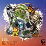Djonii - Feel The Groove (Original Mix)
