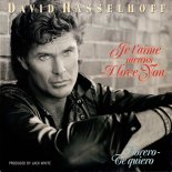 David Hasselhoff - Je T'aime Means I Love You (radio version)